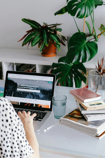 Person using laptop at a desk with plants, books, and a glass of water.