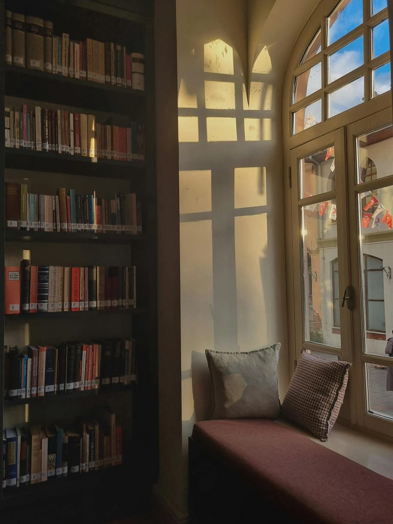 A cozy reading nook in a library with a cushioned bench by a sunlit window and bookshelves filled with books.
